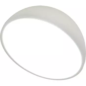 Потолочный светодиодный светильник Escada 20025LED 20025SMA/01LED WH 15Вт, 720Лм, 3000-6000К, Ra>80, металл/акрил, белый