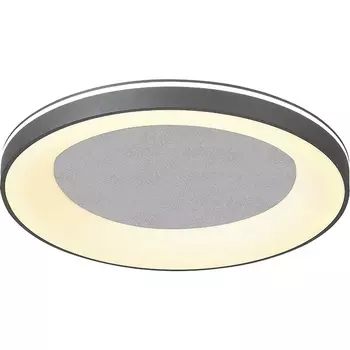 Потолочный светодиодный светильник с пультом (ночной режим) Escada Lemma 628/A LED 95Вт металл/акрил, серебро/белый