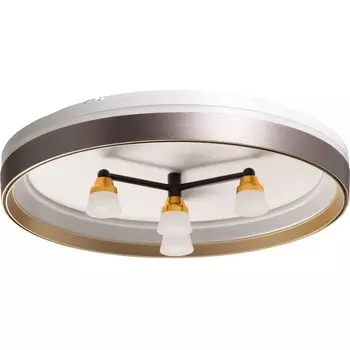 Потолочный светодиодный светильник круглый De City Норден 660014701