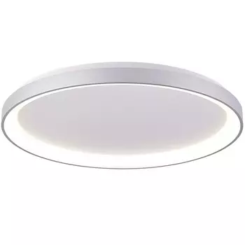 Потолочный светодиодный светильник круглый Deko-Light Merope 348196