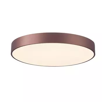 Потолочный светодиодный светильник круглый Deko-Light Merope 348205