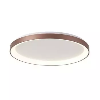 Потолочный светодиодный светильник круглый Deko-Light Merope 348193