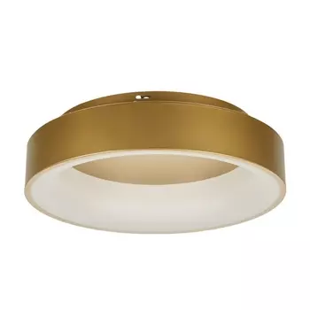 Потолочный светодиодный светильник круглый с пультом IP40 MyFar Shannon MR2195-1PL