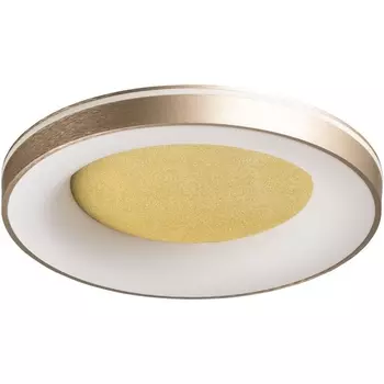 Потолочный светодиодный светильник круглый с пультом De City Норден 660015601