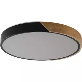 Потолочный светодиодный светильник круглый Zortes Alberro ZRS.01237.90