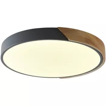 Потолочный светодиодный светильник круглый Zortes Alberro ZRS.01280.36