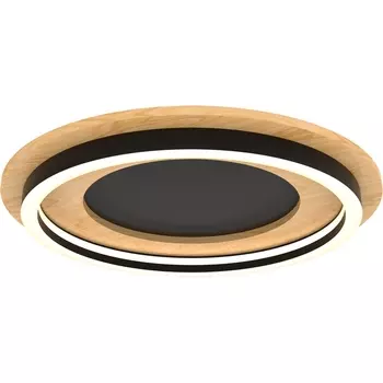 Потолочный светодиодный светильник круглый Lightstar Lodi 723017