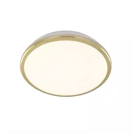 Потолочный светодиодный светильник Луна CL702162W (Citilux)