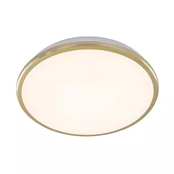 Потолочный светодиодный светильник Луна CL702222W (Citilux)