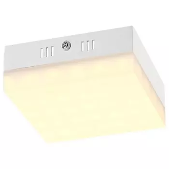 Потолочный светодиодный светильник Globo Merula 41651