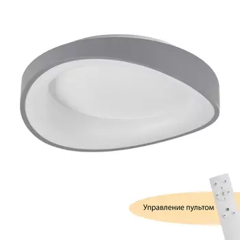 Потолочный светодиодный светильник круглый с пультом MyFar Diona MR9190-CL