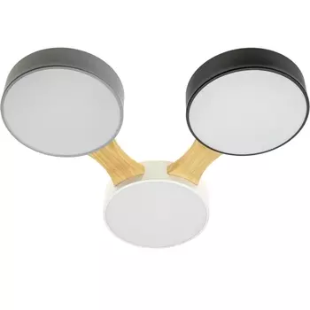 Потолочный светодиодный светильник Ritter Scandia 52070 2