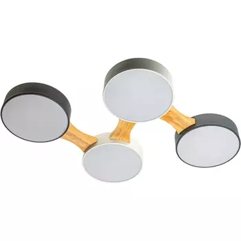 Потолочный светодиодный светильник Ritter Scandia 52071 9