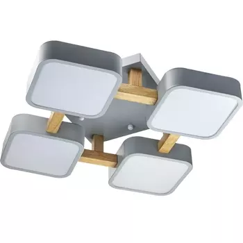 Потолочный светодиодный светильник Ritter Scandia 52073 3