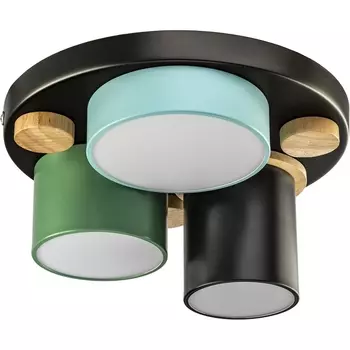 Потолочный светодиодный светильник Ritter Scandia 52074 0