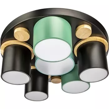 Потолочный светодиодный светильник с ДУ Ritter Scandia 52075 7