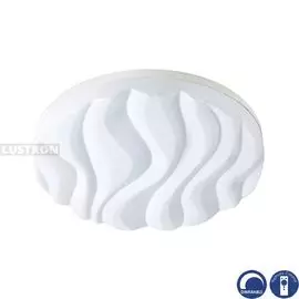 Потолочный светодиодный светильник с пультом Arena 5041R (Mantra)