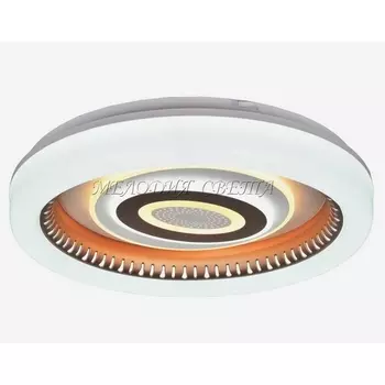 Потолочный светодиодный светильник Мелодия Света SS1L 000024776