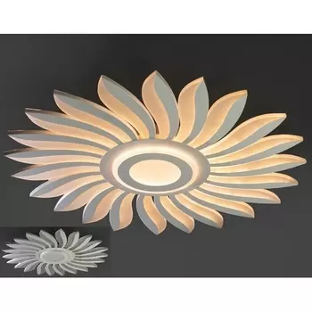 Потолочный светодиодный светильник Мелодия Света SS1L 000024990