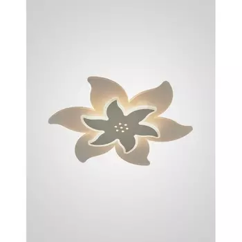 Потолочный светодиодный светильник Мелодия Света SS1N 000029125