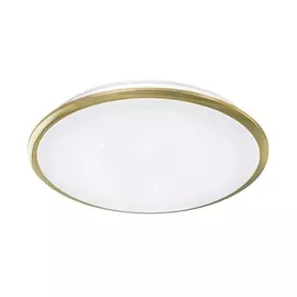 Потолочный светодиодный светильник Старлайт CL70362 (Citilux)