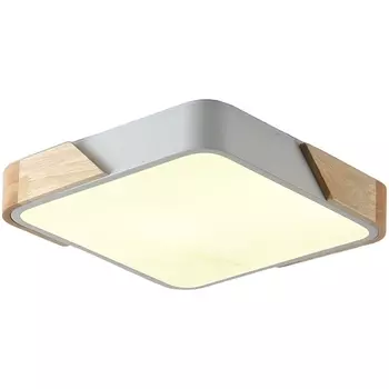 Потолочный светодиодный светильник Zortes Alberro ZRS.01285.36