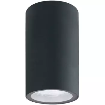 Потолочный уличный светильник IP65 Arte Lamp Mistero A3302PF-1GY