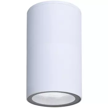 Потолочный уличный светильник IP65 Arte Lamp Mistero A3302PF-1WH