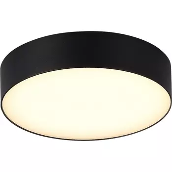 Потолочный уличный светильник IP65 ST-Luce Sun SL9518.402.01 черный/белый LED 1*20W ST Luce