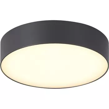 Потолочный уличный светильник IP65 ST-Luce Sun SL9518.702.01 серый/белый LED 1*20W ST Luce