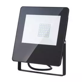 Прожектор уличный 013 FL LED (Elektrostandard)