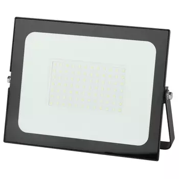 Прожектор уличный светодиодный LPR-021-0-65K-100 IP65 (ЭРА)