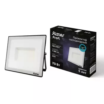 Прожектор уличный светодиодный Ritter PROFI 53409 3