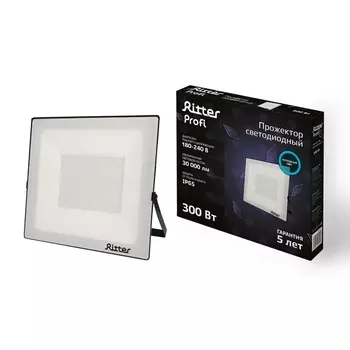 Прожектор уличный IP65 светодиодный Ritter PROFI 53413 0