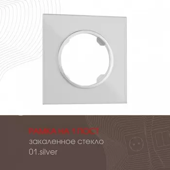 Рамка на 1 пост Arte Milano am-502.01 502.01-1.silver