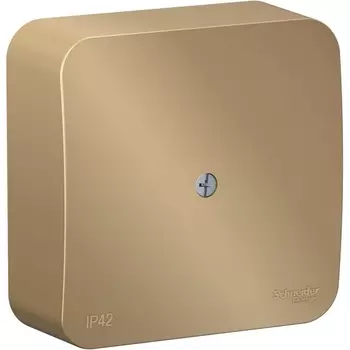 Распределительная коробка (титан) Systeme Electric Blanca BLNRK000014