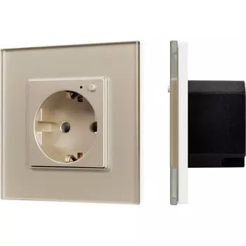 Розетка электрическая с Zigbee управлением SCT-OMALI-EUZB1-PL-GD (240V, 16A, Zigbee) (Arlight) 050218