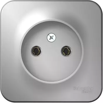 Розетка без заземления (алюминий) Systeme Electric Blanca BLNRA000113