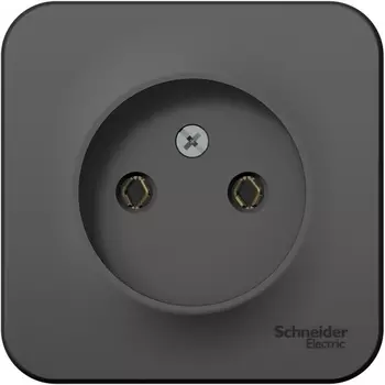 Розетка без заземления (антрацит) Systeme Electric Blanca BLNRA000116