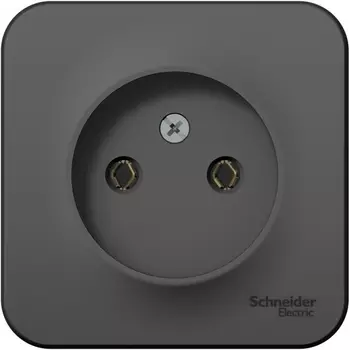 Розетка без заземления (антрацит) Systeme Electric Blanca BLNRA000106