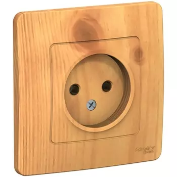 Розетка без заземления (ясень) Systeme Electric Blanca BLNRS000015