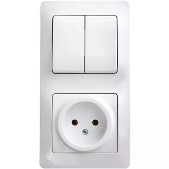 Розетка без заземления с двухклавишным выключателем (белый) Systeme Electric GSL000172