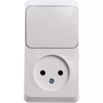 Розетка без заземления с одноклавишным выключателем (белый) Systeme Electric BPA16-204B