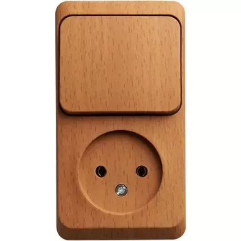 Розетка без заземления с одноклавишным выключателем (бук) Systeme Electric BPA16-204T