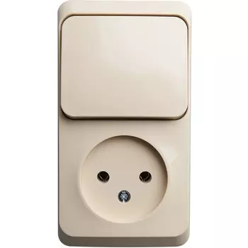 Розетка без заземления с одноклавишным выключателем (кремовый) Systeme Electric BPA16-204K