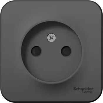 Розетка без заземления со шторками (антрацит) Systeme Electric Blanca BLNRA001116