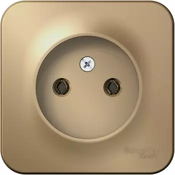 Розетка без заземления (титан) Systeme Electric Blanca BLNRA000114