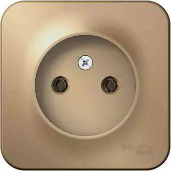 Розетка без заземления (титан) Systeme Electric Blanca BLNRA000104