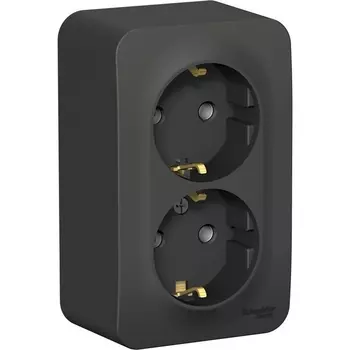 Розетка двойная с заземлением (антрацит) Systeme Electric Blanca BLNRA010206