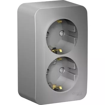 Розетка двойная с заземлением и шторками (алюминий) Systeme Electric Blanca BLNRA011213